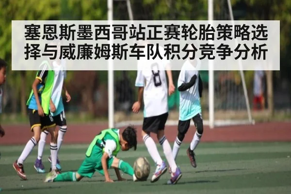 塞恩斯墨西哥站正赛轮胎策略选择与威廉姆斯车队积分竞争分析